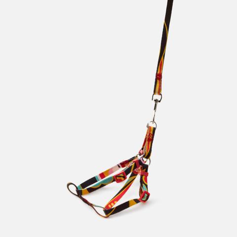 Изображение товара Шлейка Wahfay, для животных, с орнаментом, one size