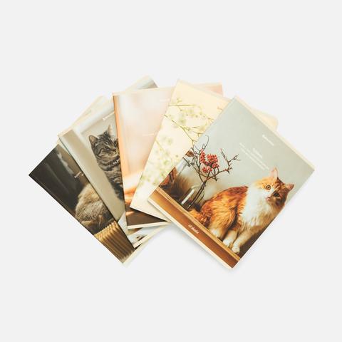 Изображение товара Тетрадь Brauberg Cats, 404673, скоба, клетка, матовая ламинация, А5, 48 л, 5 шт.