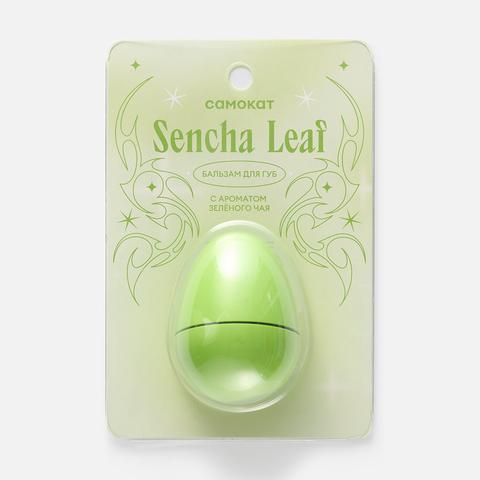 Изображение товара Бальзам для губ Самокат Sencha Leaf с ароматом зелёного чая, 12 г